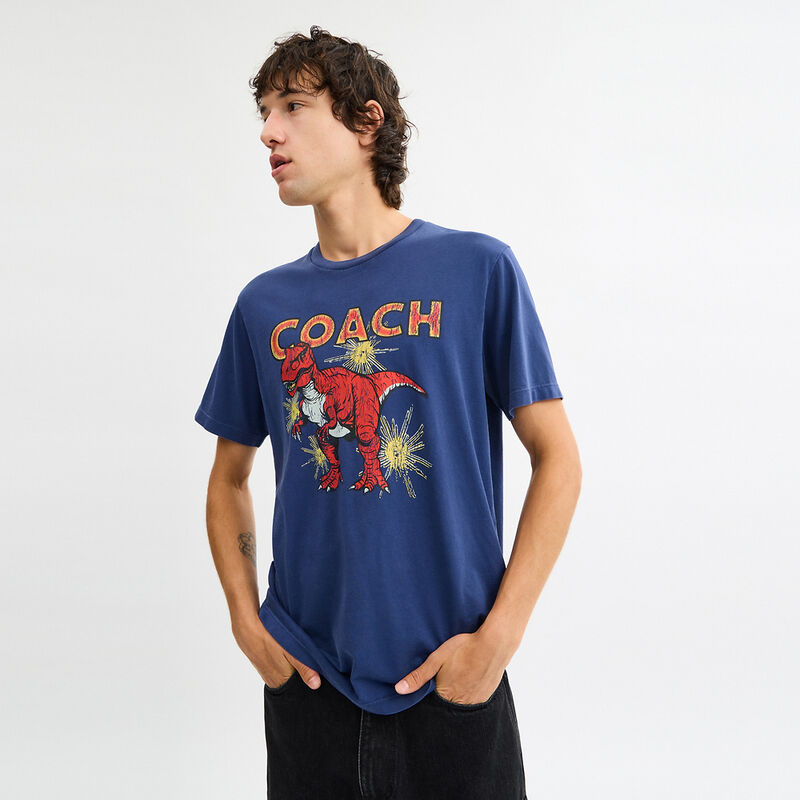 Garment Washed Dinosaur T Shirt In Organic Cotton