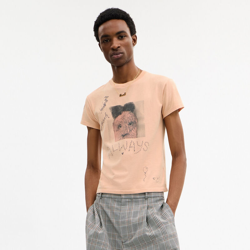 Carroty Shrunken T-Shirt In Organic Cotton, Light Orange, hi-res image number 4