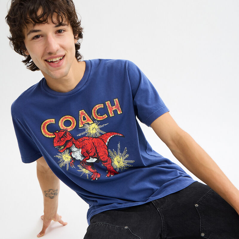 Garment Washed Dinosaur T Shirt In Organic Cotton, WASHED BLUE, hi-res image number 4
