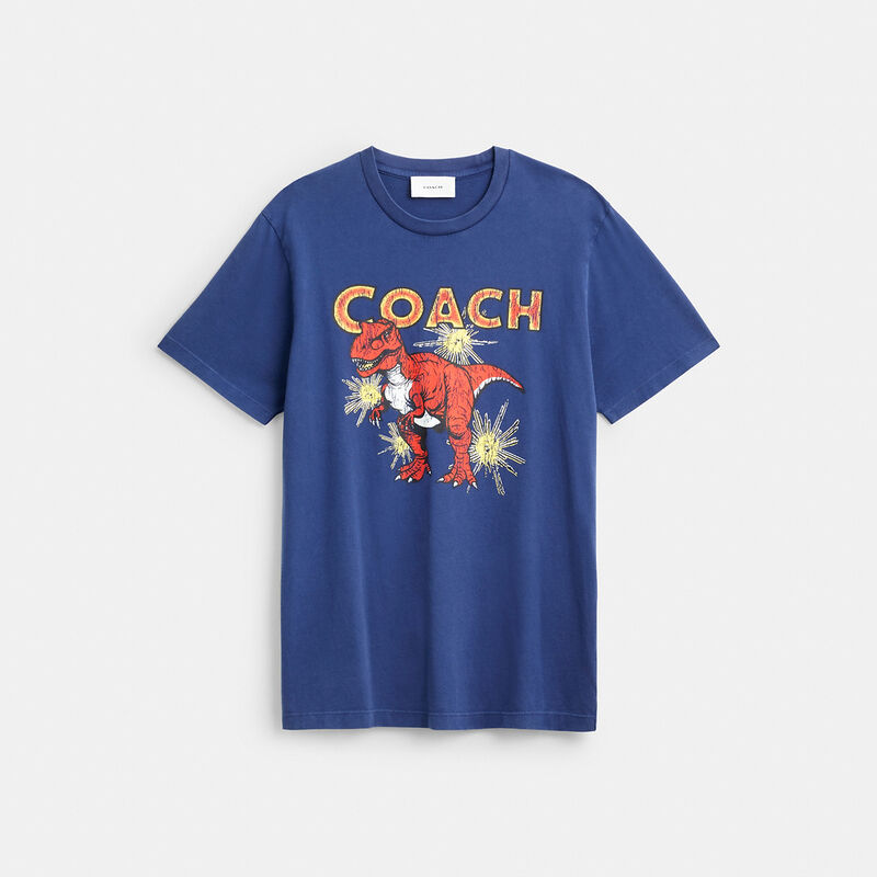 Garment Washed Dinosaur T Shirt In Organic Cotton